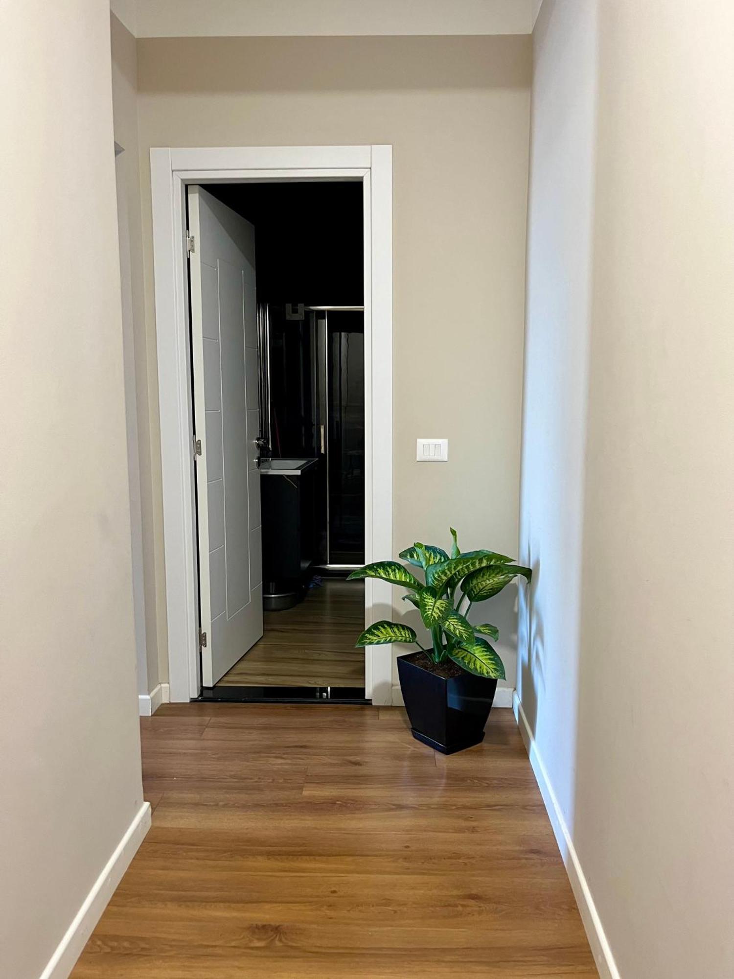City Center Cozy Apartment Tiran Dış mekan fotoğraf
